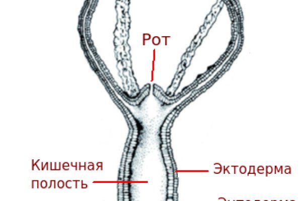 Сайт kraken зеркала