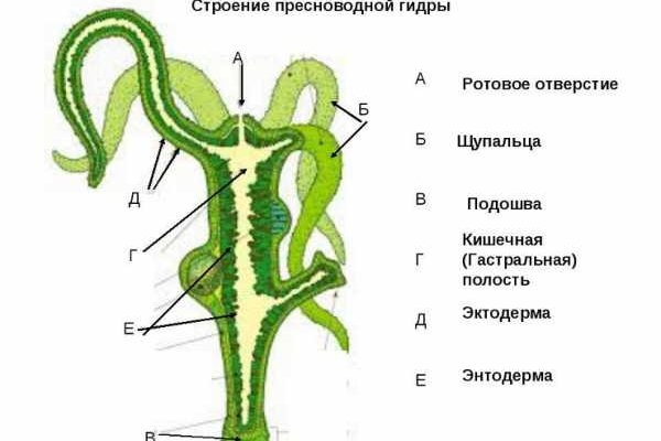 Кракен вход krakens13 at