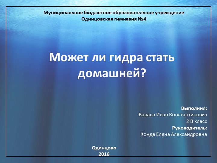 Где найти ссылку на кракен
